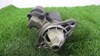 Motor de arranco 9007045018 CHRYSLER