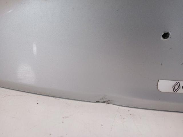 901004561R RENAULT Дверь задняя (багажная 3/5-я (ляда) купить в Ужгород