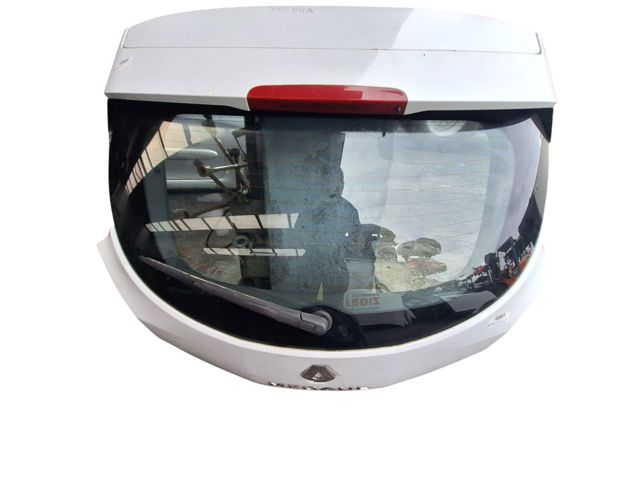 901004981R RENAULT Ляда купить в Тернополь