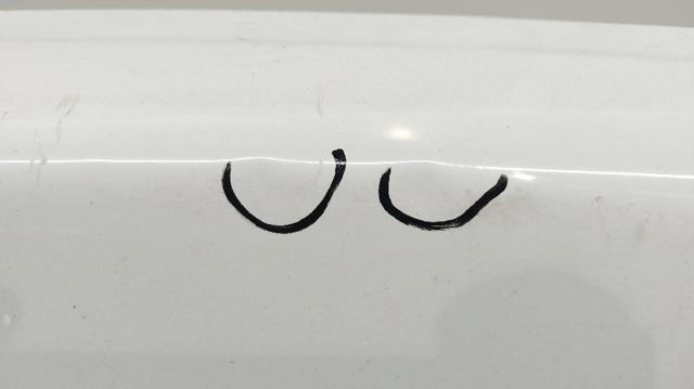 901005310R RENAULT Дверь фургона задняя распашная правая купить в Харьков
