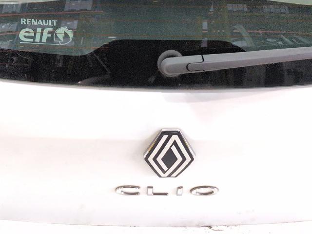 RENAULT 901008961R Дверь задняя (багажная 3/5-я (ляда) в наличии Львов
