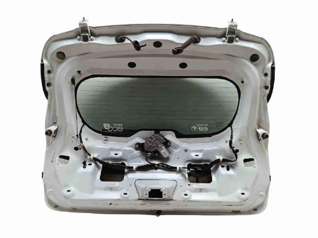 901009631R RENAULT Дверь задняя (багажная 3/5-я (ляда) купить в Днепр