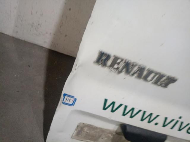 RENAULT 901019505R Дверь фургона задняя распашная левая в наличии Тернополь