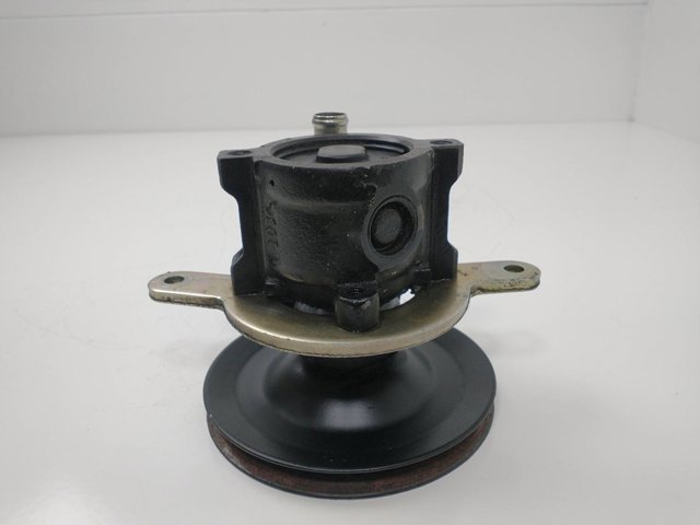 OPEL 90281879 Насос ГУР в наличии Хмельницкий