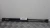 Amortecedor de tampa de porta-malas (de 3ª/5ª porta traseira) 90388707 OPEL