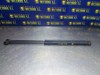 Amortecedor de tampa de porta-malas (de 3ª/5ª porta traseira) 90388707 OPEL
