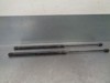 Amortecedor de tampa de porta-malas (de 3ª/5ª porta traseira) 90388707 OPEL