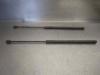 Amortecedor de tampa de porta-malas (de 3ª/5ª porta traseira) 90388707 OPEL