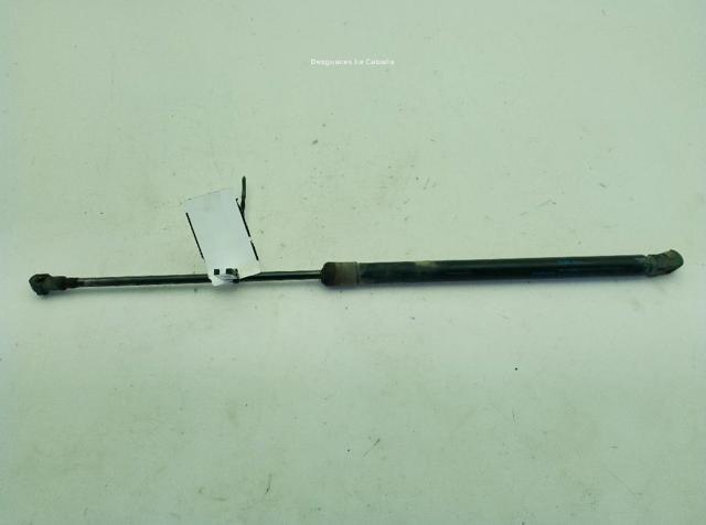 Amortecedor de tampa de porta-malas (de 3ª/5ª porta traseira) 904504EA0A NISSAN