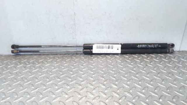 904505599R RENAULT Амортизатор крышки багажника (двери 3/5-й задней) купить в Украина