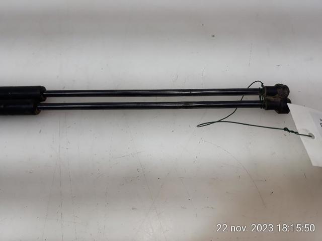 904505599R RENAULT Амортизатор багажника купить в Житомир