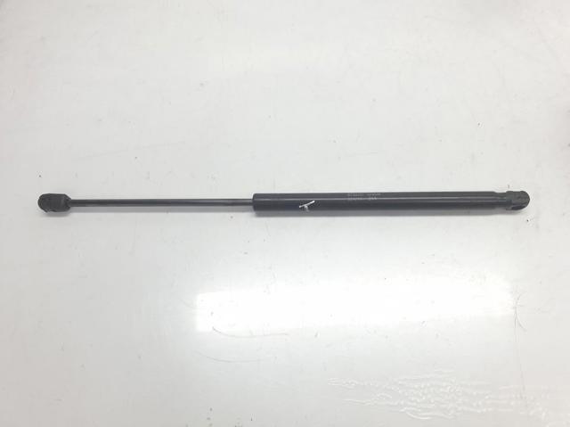 Amortecedor de tampa de porta-malas (de 3ª/5ª porta traseira) Renault Latitude L7
