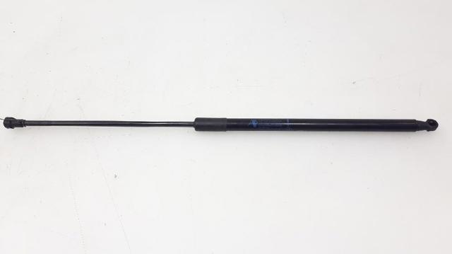 RENAULT 904520004R Амортизатор багажника в наличии Одесса