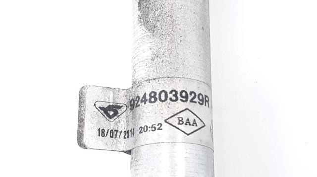 RENAULT 924803929R в наличии Павлоград