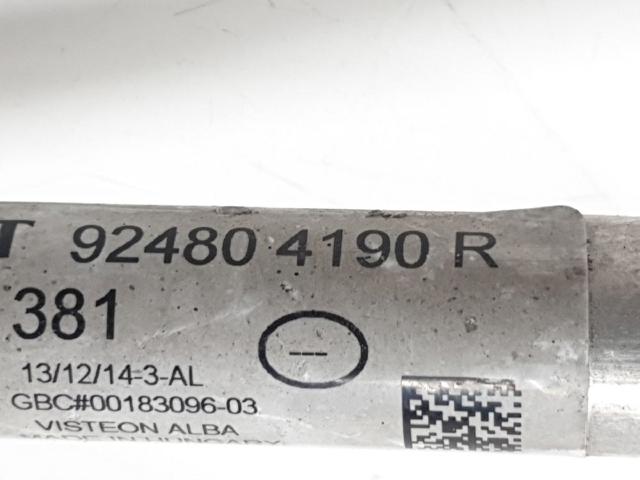 RENAULT 924804190R в наличии Житомир