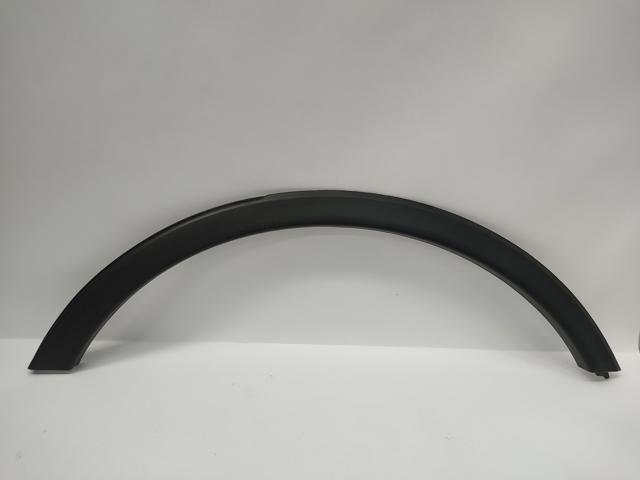 Expansor (placa sobreposta) de arco do pára-lama dianteiro esquerdo 94532712 Opel