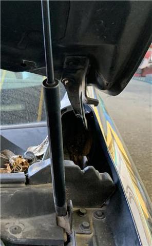 95049936 OPEL Петля капота левая купить в Тернополь