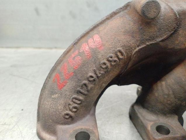 9601294980 Peugeot/Citroen