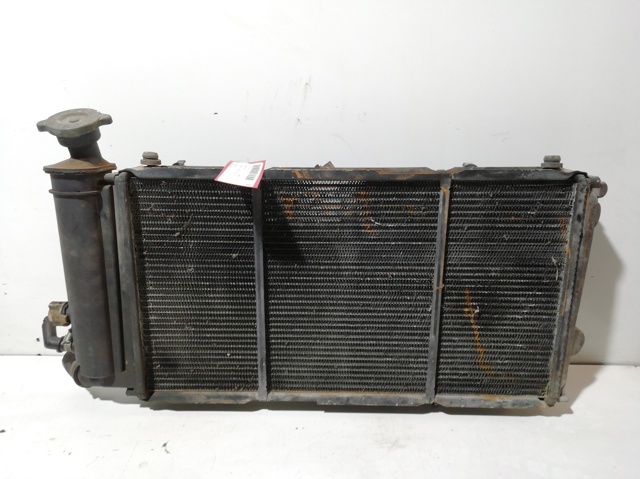 Radiador de esfriamento de motor 96029202 Peugeot/Citroen