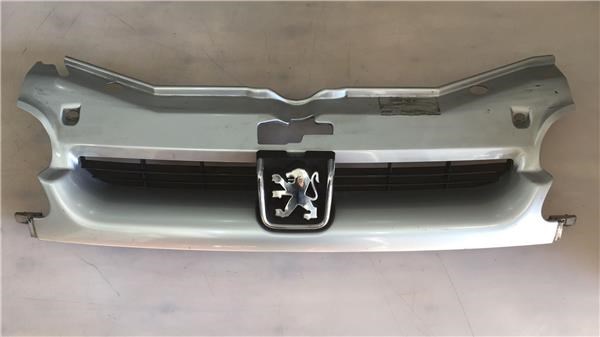 9618254777 Решетка радиатора купить Павлоград