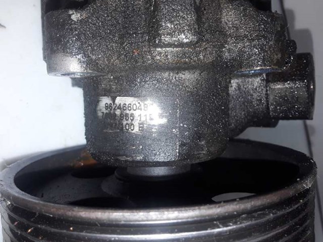 Depressor de freio / bomba de vácuo para Peugeot 406 2.0 HDI 90 RHY (DW10TD) 9624660480