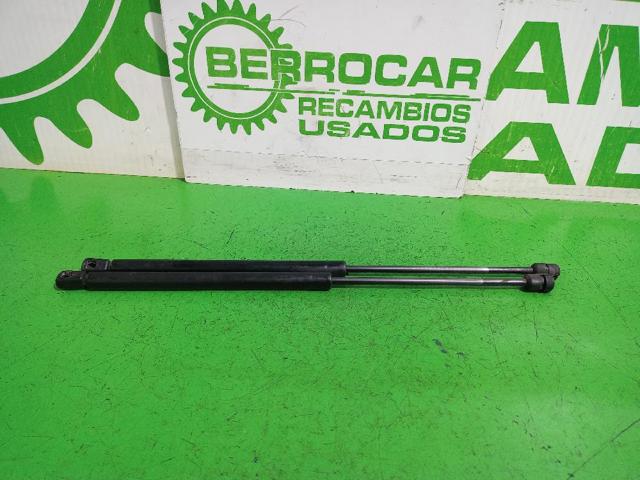 9628059280 PEUGEOT Амортизатор капота купить в Черкассы