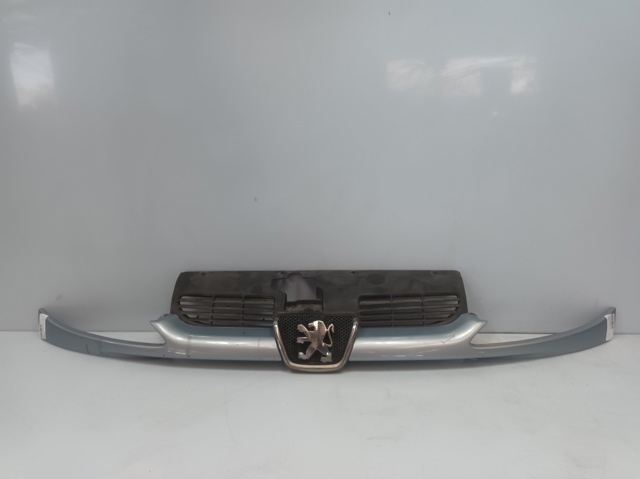 Grelha do radiador 9628934280 PEUGEOT