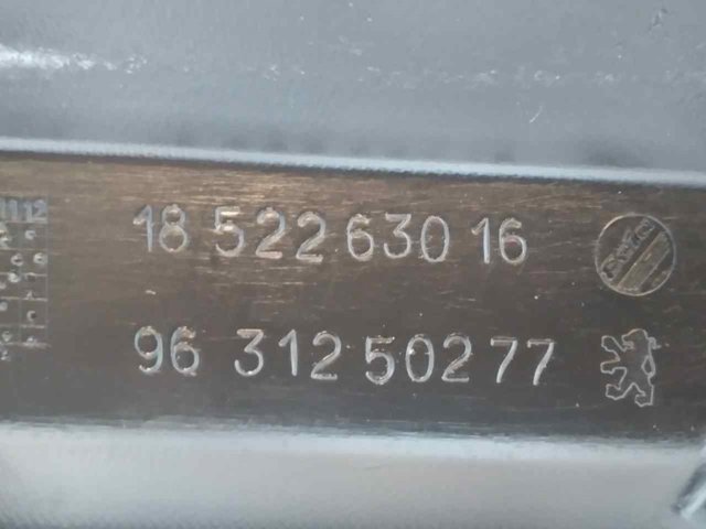 Grelha do radiador Peugeot 406 8B