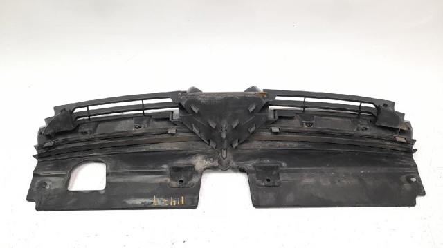 Grelha do radiador Citroen C5 1 DC