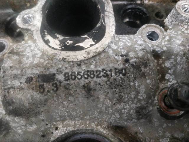 Cabeça de motor (CBC) Peugeot 307 3B