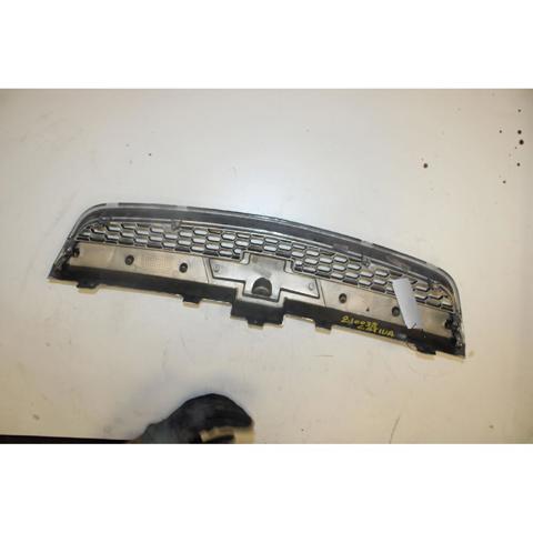 Grelha do radiador Chevrolet Captiva 1 C100