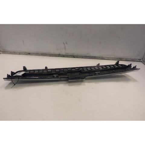 Grelha do radiador Chevrolet Captiva 1 C100