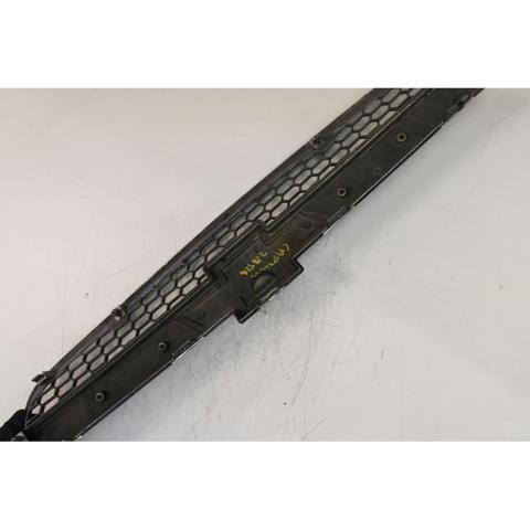 Grelha do radiador Chevrolet Captiva 1 C100