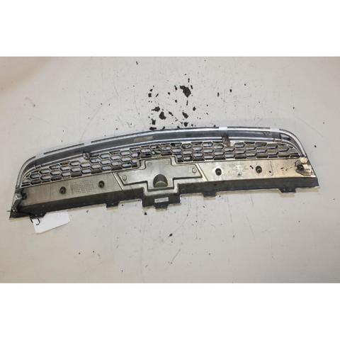 Grelha do radiador Chevrolet Captiva 1 C100