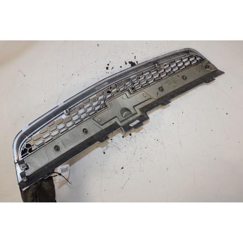 Grelha do radiador Chevrolet Captiva 1 C100