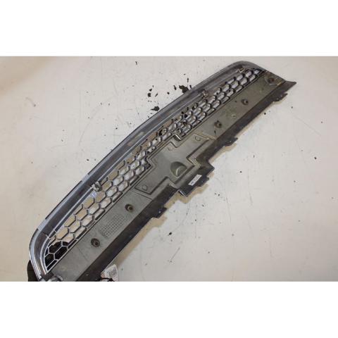 Grelha do radiador Chevrolet Captiva 1 C100