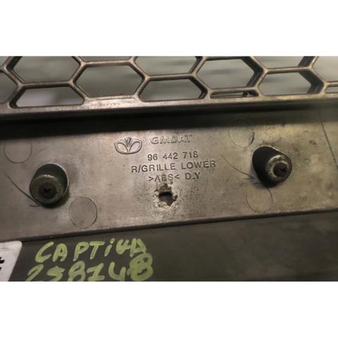 Grelha do radiador Chevrolet Captiva 1 C100