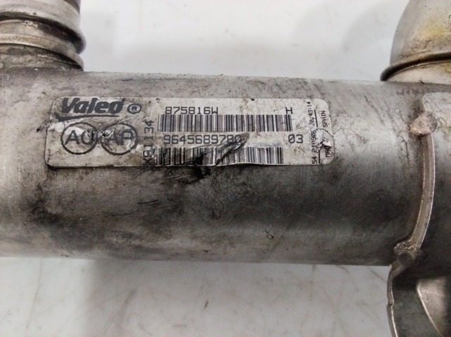 9645689780 FIAT Радиатор системы EGR купить в Ровно