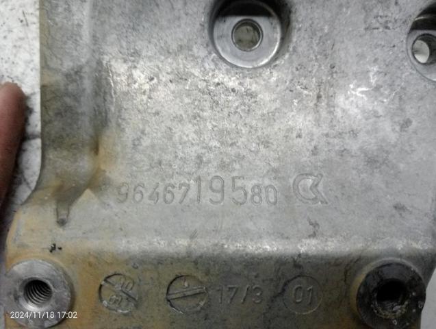 Consola do gerador Peugeot 307 3H