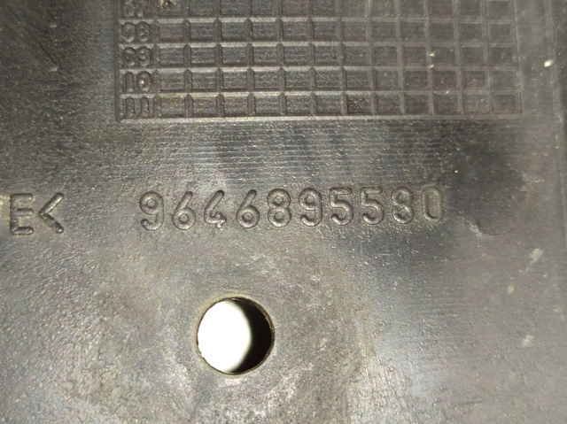 9646895580 PEUGEOT купить в Николаев