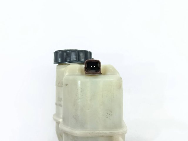 Cilindro mestre do freio 9646980980 PEUGEOT