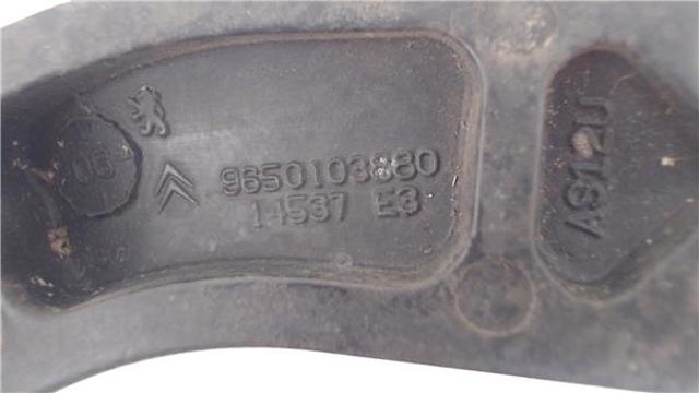 PEUGEOT 9650103880 в наличии Ужгород