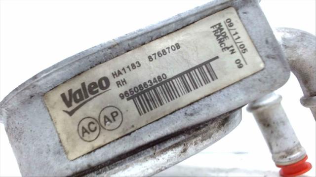 9650863480 PEUGEOT купить в Хмельницкий