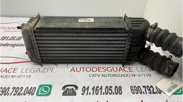Trocador de calor de ar ECHANG W20 9651184880