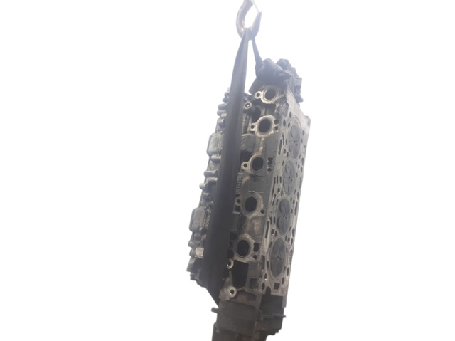 Cabeça de motor (CBC) Ford Focus 2 DA, HCP, DP