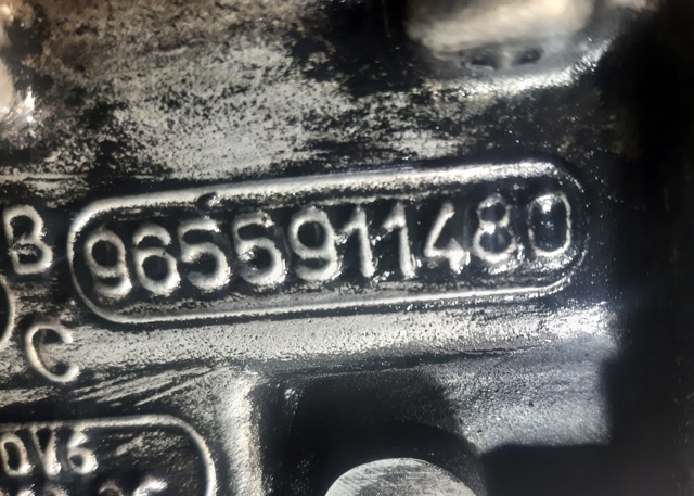 Cabeça de motor (CBC) Ford Focus 2 DA, HCP, DP