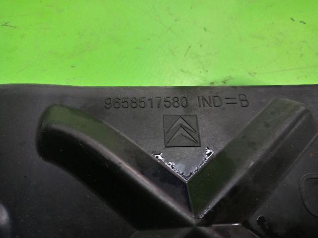 9658517580 PEUGEOT купить в Чернигов