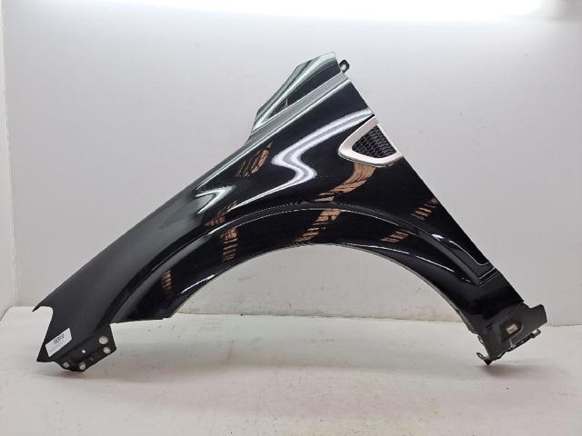 Pára-lama dianteiro esquerdo Chevrolet Captiva 1 C100