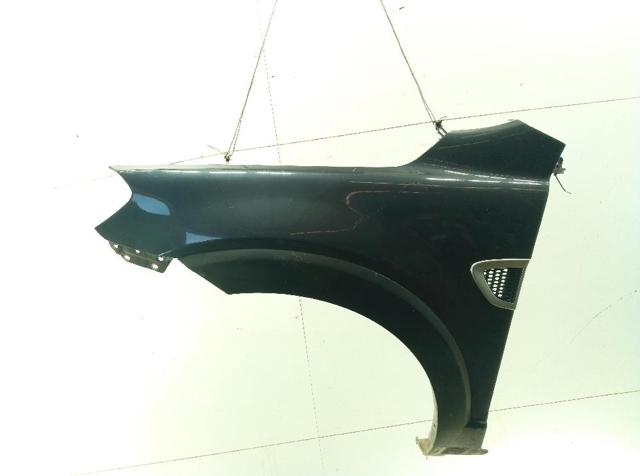 Pára-lama dianteiro esquerdo Chevrolet Captiva 1 C100