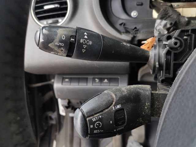 PEUGEOT 96667319XT в наличии Житомир